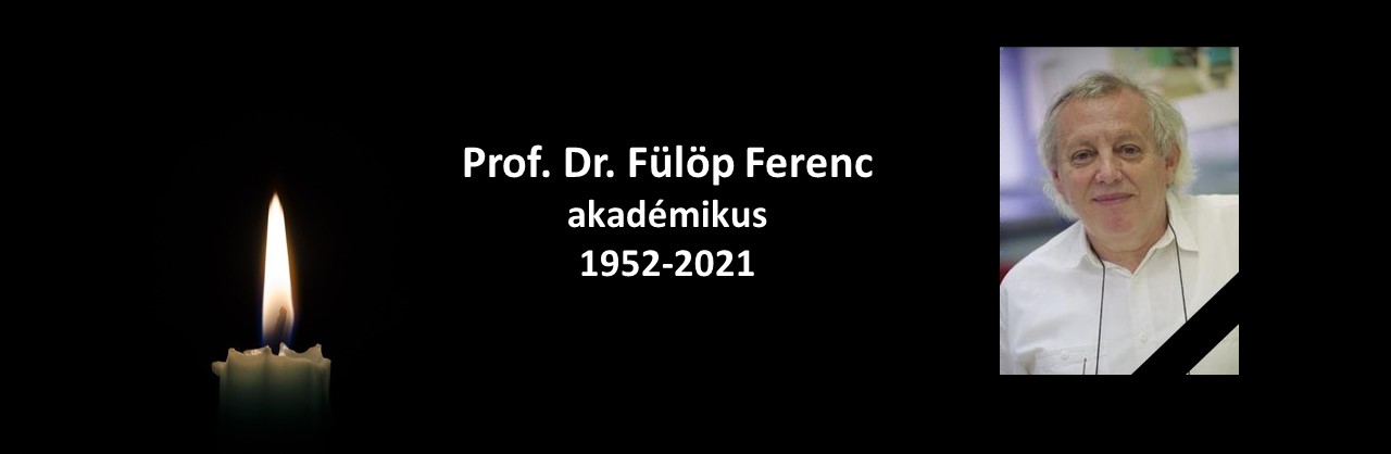 Fulop_Ferenc_-_Gyasz