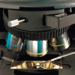DX-Raman-2