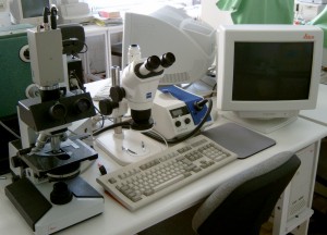 Leica-kepanalizator