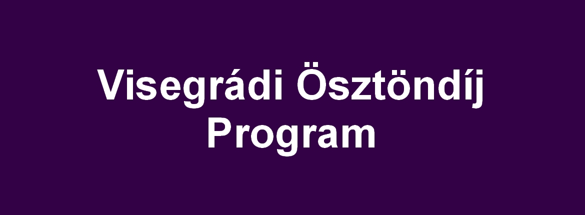 Visegrad_banner