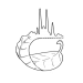 Farmakognoziai_Intezet_-_SZTE_GYTK_v0.1