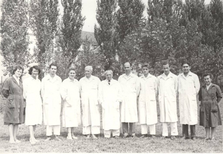 novak_istvan novak_istvan